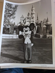 Disneyland Topolino prima foto stampa in bianco e nero con lettera Disneyland allegata - Foto 1 di 3