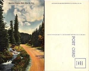 Spearfish Canyon Black Hills South Dakota SD Postcard - Picture 1 of 1