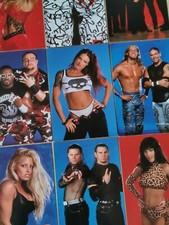 Merlin WWF Wrestling Mega Photo Sticker Promo Single 2001