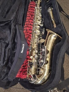 ITALIANO Ambassadore Altsaxophon 100 $ Protec Hardcase Back Pac MADE ITALY 🇮🇹 - Bild 1 von 22