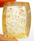 IP4  Dendrite Quartz 27.01ct 25x18x7mm Cushion, picture stone garden branches