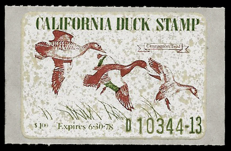 CA7 — 1977 California waterfowl stamp - Image 1 of 1