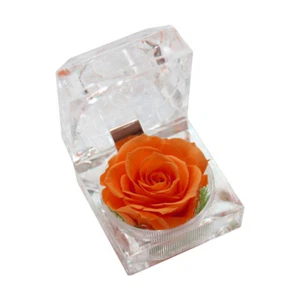 1 pieza flor preservada rosa de eternidad nunca marchita rosa regalo para San Valentín - Imagen 1 de 10