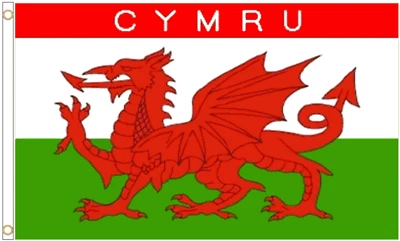 Wales Cymru Polyester Flag - Choice of Sizes - Image 1 of 3