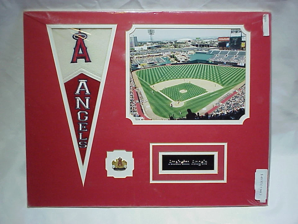 Anaheim Angels Pictures Photo, Name Plate, Pin & Pennant Flag Collage 16x20  B16 - Image 1 of 1