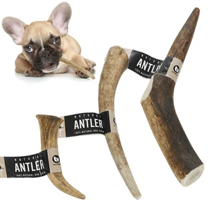 Genuine Natural Long Lasting Red Deer Elk Antlers Dog Chew Toy Treat - Picture 1 of 13