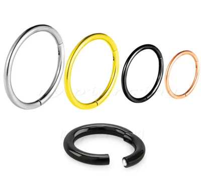 PAIR Hinged Segment Ring Clicker Surgical Steel Ear Nose Ring Lip Septum Ring - Image 1 of 4