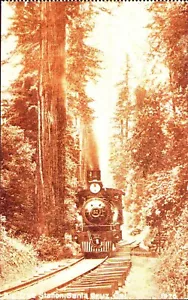 PC Steam Locomotive Train Big Tree Station Santa Cruz, Cal. - Picture 1 of 3
