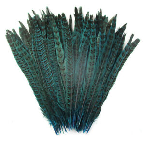 10 pcs beautiful pheasant tail feathers 10-12 inches / 25-30 cm DIY