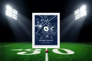 PENN STATE NITTANY LIONS Stadium mappa posizione stampa NCAA Stadium Art poster - Foto 1 di 7