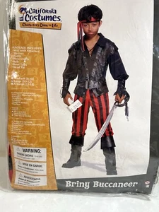 Briny Buccaneer Pirate Boy Swashbuckler Child Costume Size L 10/12 - Picture 1 of 5