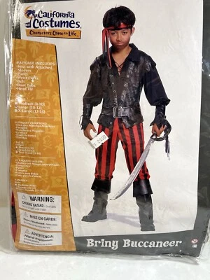 Briny Buccaneer Pirate Boy Swashbuckler Child Costume Size L 10/12 - Image 1 of 4