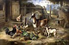 Peinture à l'huile art mural décoration maison ferme chèvres et poulets imprimée sur toile cadeau