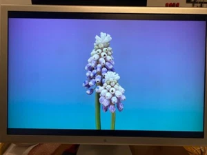 Apple Cinema Display 30" - A1083 - A150 - Bild 1 von 24