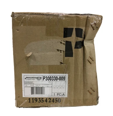 Progress Lighting Merry 4-Light Brushed Nickel Etched Glass Bath Vanity Light - Image 1 of 3