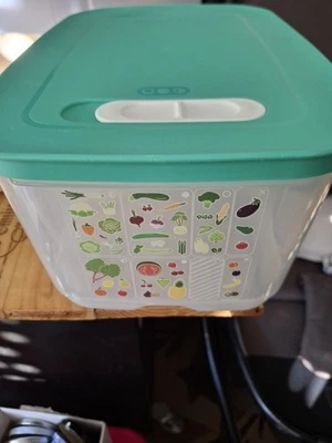 TUPPERWARE  KLIMA-OASE 4,4 L PRIMA KLIMA OBST GEMÜSE BEHÄLTER GRÜN Gut Erhalten - Bild 1 von 3