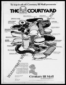 Century 3 Mall Pittsburgh Courtyard Ad Brochure Vintage Photograph Print 8.5x11" - Picture 1 of 1