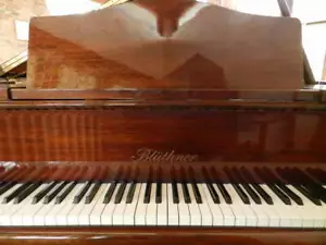Bluthner Grand piano1990 Mdl 6 by Steinway Specialist in Australia free delivery - Picture 1 of 6
