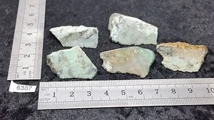LOT 5 X TURQUOISE pierre brute naturelle mineraux lithotherapie reiki collection - Imagen 1 de 1