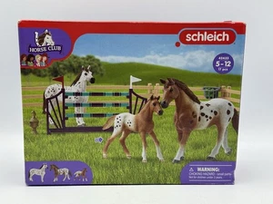 Schleich Horse Club LISA’S TOURNAMENT TRAINING SET 42433 - 17 pcs - Picture 1 of 5