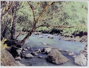 8.5 x11 INCH WAIMEA RIVER OAHU SCENIC PRINT F/HAND COLORED BLACK & WHITE PHOTO  - Picture 1 of 1