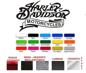 ADESIVI COMPATIBILI SCRITTA HARLEY DAVIDSON (COPPIA) - Imagen 1 de 1