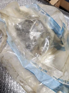 NOS Engine Motor Mount GMC in Gm bag NEW OEM Gm 22145334 - Bild 1 von 3