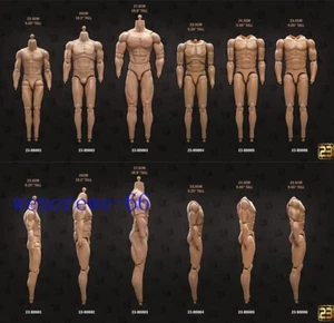 23Toys 1/6 Muscular Male Action Figure Body BD001-6 for 12" Hot Toy Phicen Head - Picture 1 of 15