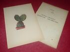 Botanical Rock Plants & Cactus Print –Lithograph – Opuntia Cama A.Davids 1948