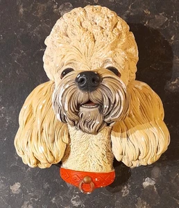 Bossons Of Congleton Poodle Head Wall Plaque - Picture 1 of 6