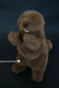Peluche castoro vintage Gund 1990 - Foto 1 di 2