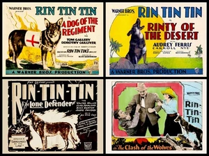 RIN TIN TIN SERIALS - ALL 4 - FOUR SEPARATE 11 X 14 LOBBY CARDS - ALL 4 - Picture 1 of 1