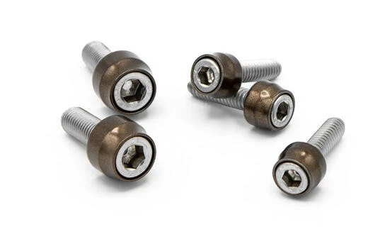 Kit de pernos de motor Santoro Fabworx Chacho bronce/plateado Harley Milwaukee ocho Foto 1 de 1