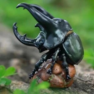 【In magazzino】 Statua calcosoma coleottero rinoceronte corpo celeste animale con tre corna - Foto 1 di 3