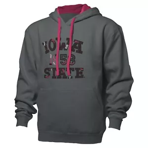 NCAA Iowa State Cyclones Color Block Hooded Sweatshirt, Graphite/Vivid, Medium - Picture 1 of 3