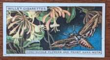1924 Wills Do You Know Cigarette Card 2nd Series. #16 Why Flowers Smell?