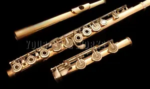 Verne Q. Powell Aurumite Flute - Picture 1 of 11