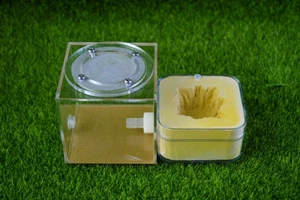Natural Acrylic Ant Farm Ecological Ant Nest With Feeding area Ant Farm - Picture 1 of 2