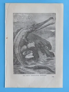 Impresión original vintage de 1887: el famoso dinosaurio cocodrilo antediluviano 6x9 - Imagen 1 de 2