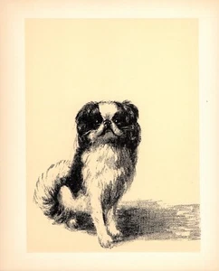 Vintage Japanese Chin Print 1930s Japanese Spaniel Wall Art Print Decor 4867a - Picture 1 of 1