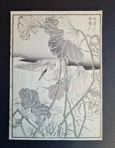 Antique c.1890 Japanese woodblock print - Egret by Water - Kikuchi Hobun - Picture 1 of 3