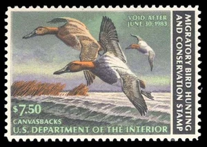 RW49 — 1982 Canvasback, XF-Superb 95 NH, PSE Certificate - Bild 1 von 2