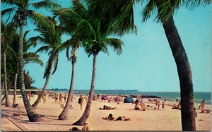 Tropische Strandszene mit Palmen und Menschen in FLORIDA CHROM POSTKARTE D18 - Bild 1 von 2