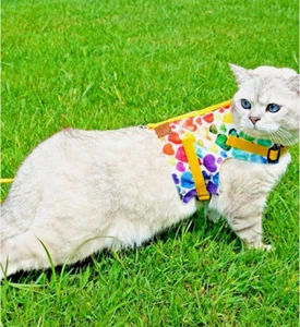 PATIPATRON Cat Harness and Leash Set Cats Escape Proof Adjustable Size M - Picture 1 of 4
