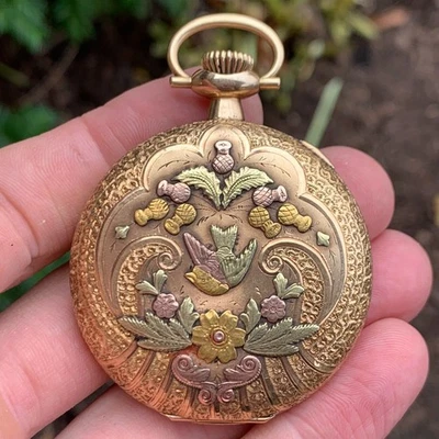 Elgin 1905 oro macizo 14K multicolor G.M. Reloj Bolsillo Caza Wheeler 16S 17J Foto 1 de 4