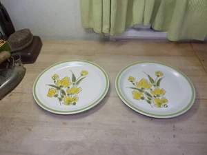 vintage lot of 2 spring collection stonybrook 10 3/4" plates yellow  tulips - Picture 1 of 12