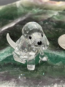 Swarovski Kristall sitzender Mini Pudel Beagle Welpe Hund mattierter Schwanz Schwan Logo - Bild 1 von 14