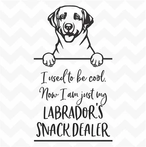 Labrador Snack Dealer vinyl sticker decal home decor wall saying peeking dog pet - Picture 1 of 6