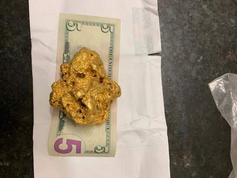 Austalian Gold Nugget 19.60 Troy Ounces (609.8 Grams) Cover