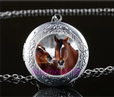 Collar de cadena de plata colgante con medallón marrón de dos caballos envío a EE. UU. #152 Foto 1 de 3